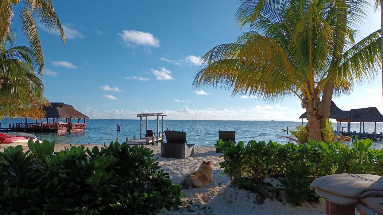 Cancun Private Apartment Εξωτερικό φωτογραφία